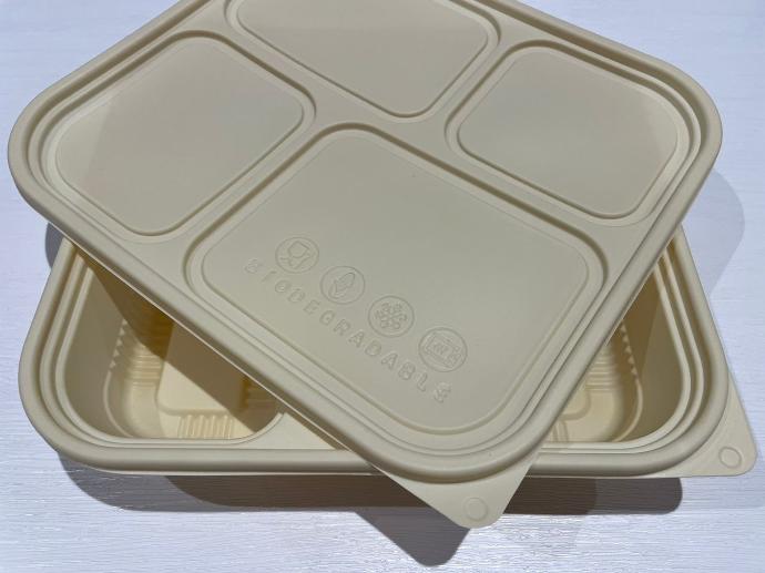 biodegradable container